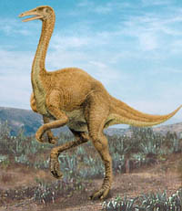 Gallimimus-Ornithomimidae