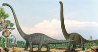 Mamenchisaurus