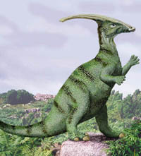 Parasaurolophus