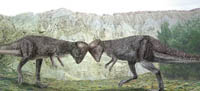 Prenocephale